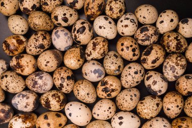 Arka plan olarak bir grup bıldırcın yumurtası. Çiğ yumurta..