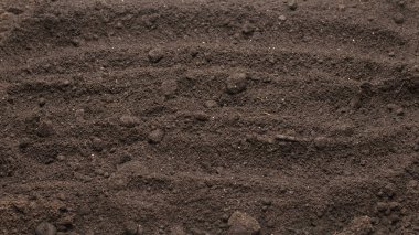 Bitkiler için kara toprak. Üst görünüm. 