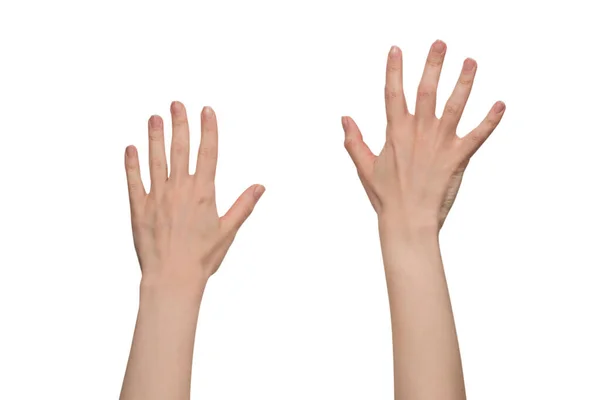 Рука Женщины Изолирована Белом Фоне — стоковое фото