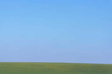 Arkaplan olarak mavi gökyüzü olan yeşil alan.  