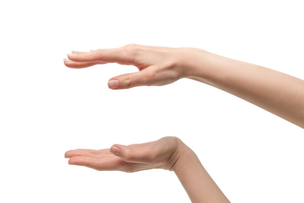 Woman hand isolated on a white background. 