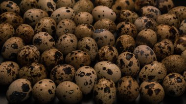 Arka plan olarak bir grup bıldırcın yumurtası. Çiğ yumurta..