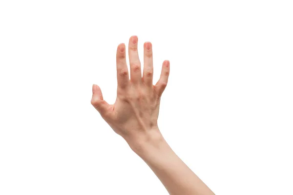 Frau Hand Isoliert Auf Weißem Hintergrund — Stockfoto