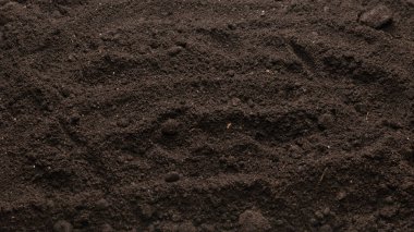 Beyaz arka planda izole edilmiş bitkiler için kara toprak. Boşluğu kopyala.