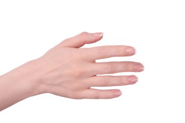Beyaz arka planda izole edilmiş Fransız manikürlü kadın elleri..