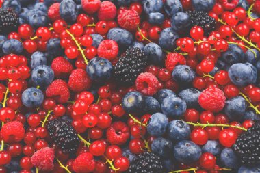 Blackberry, ahududu, yabanmersini, kırmızı frenk üzümü ve nane arkaplanı. 