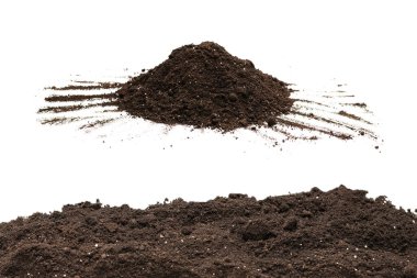 Beyaz arka planda izole edilmiş bitkiler için kara toprak. Yer deseni.