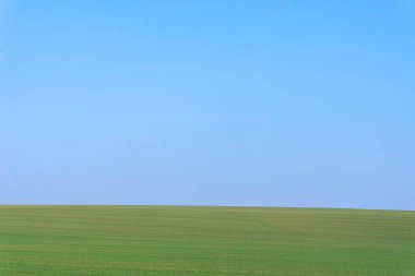 Arkaplan olarak mavi gökyüzü olan yeşil alan.  