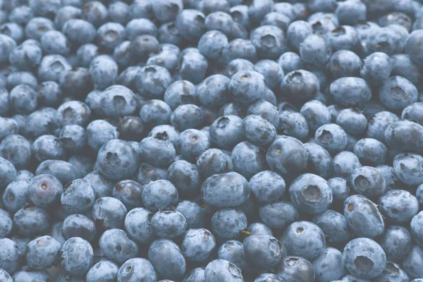 Fresh Blueberry Background Texture Blueberry Berries Close — Stock Photo, Image