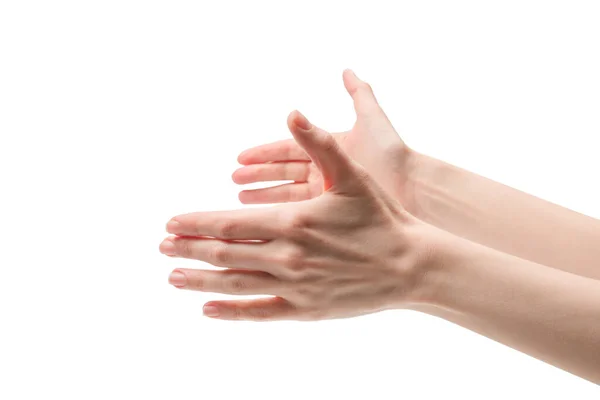 Woman Hand Isolated White Background — Stock Photo, Image