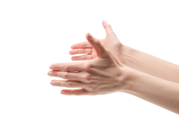 Woman hand isolated on a white background. 