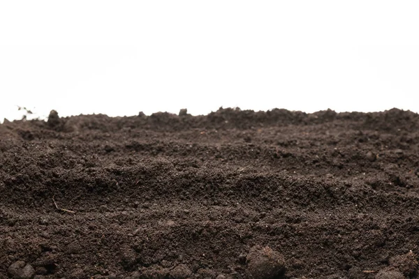 Zwart Land Voor Plant Geïsoleerd Witte Achtergrond Kopieerruimte — Stockfoto