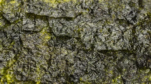 Tasty Nori Seaweed Isolated White Background — Stock Photo, Image