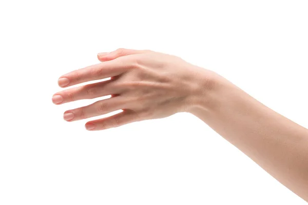 Frau Hand Isoliert Auf Weißem Hintergrund — Stockfoto