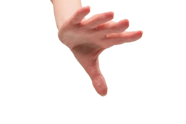 Рука Жінки Ізольована Білому Тлі — стокове фото