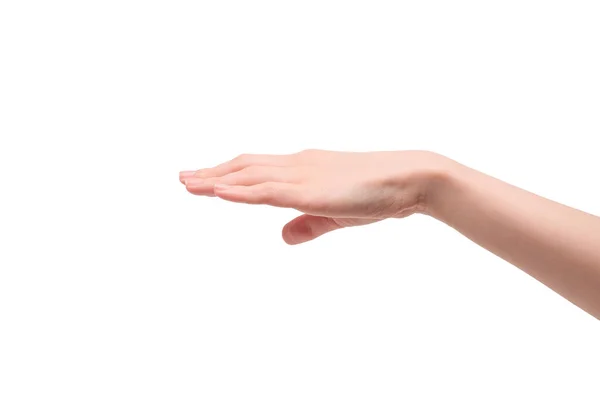 Γυναίκα Χέρι Απομονωθεί Λευκό Φόντο — Stok fotoğraf