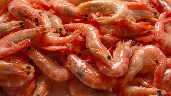 Shrimps Background Texture Lot Shrimps Cooked Shrimps — Stock Photo, Image