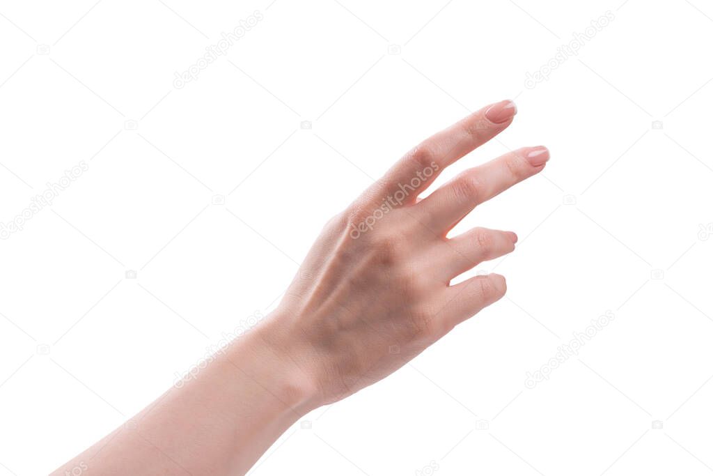 Woman hands with french manicure isolated on a white bacckground.