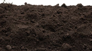 Beyaz arka planda izole edilmiş bitkiler için kara toprak. Boşluğu kopyala.