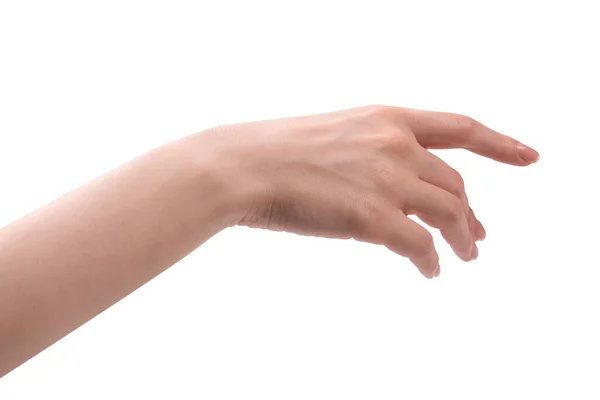 Frauenhände Mit Französischer Maniküre Isoliert Auf Weißem Speck — Stockfoto