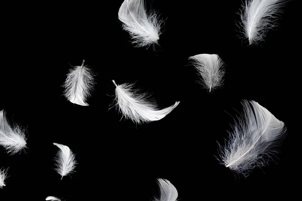黒い背景に隔離された白い浮き羽 — ストック写真