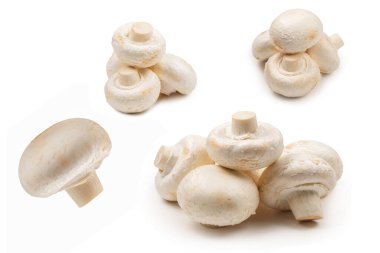 Şampiyon mantarı beyaz arka planda izole edilmiş. Üst görünüm. 