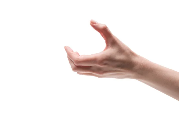 Рука Женщины Изолирована Белом Фоне — стоковое фото