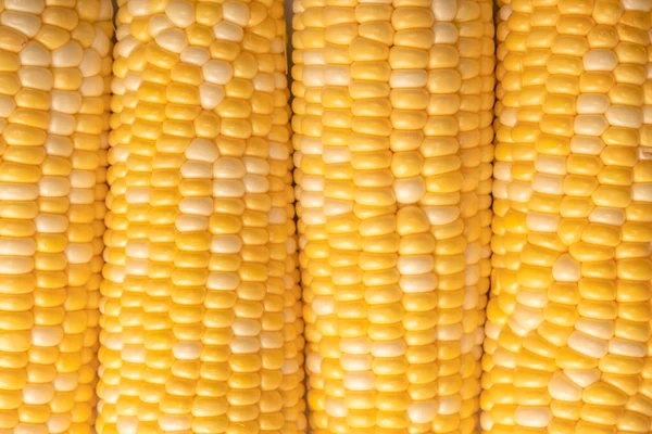 Yellow Sweet Corn Isolated White Background Copyspace — Stockfoto