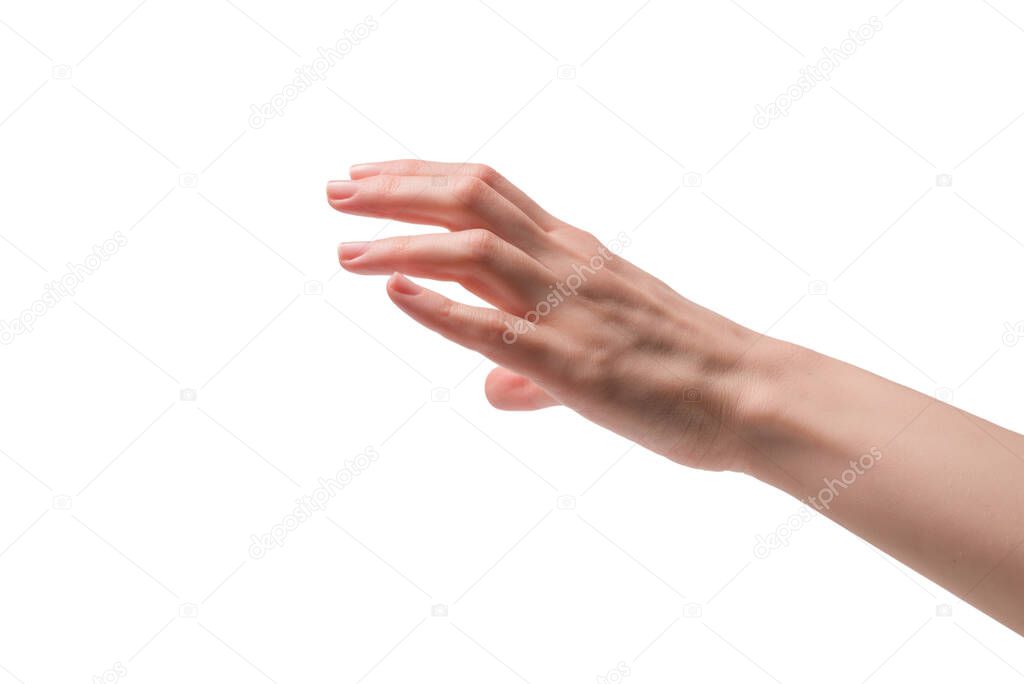 Woman hand isolated on a white background. 