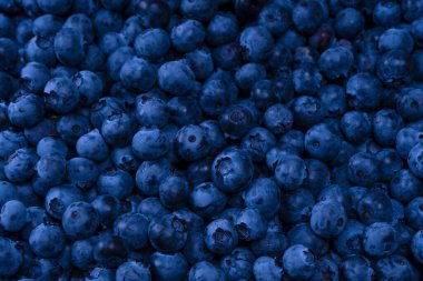 Fresh blueberry as a background. Texture blueberry berries close up.