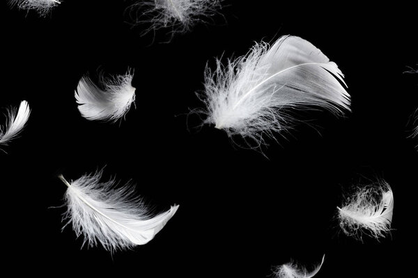 Белое плавающее перо изолировано на черном фоне. 