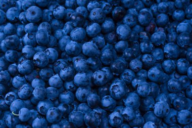 Fresh blueberry as a background. Texture blueberry berries close up.