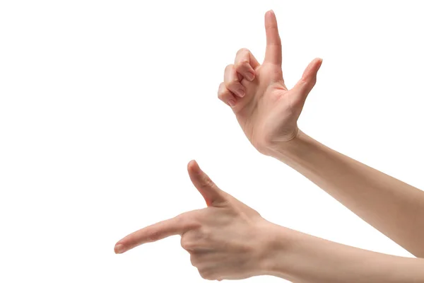 Mano Mujer Aislada Sobre Fondo Blanco — Foto de Stock