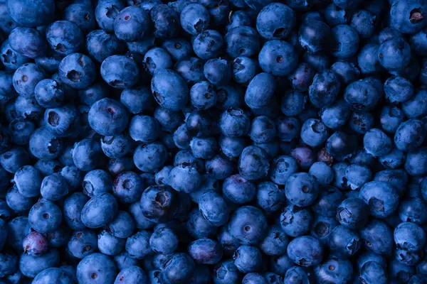 Fresh Blueberry Background Texture Blueberry Berries Close — Stockfoto