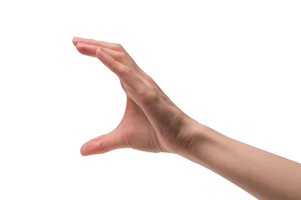 Vrouw Hand Geïsoleerd Een Witte Achtergrond — Stockfoto