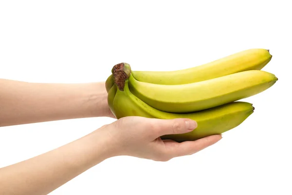 Ein Bündel Bananen Frauenhand Isoliert Auf Weißem Hintergrund — Stockfoto