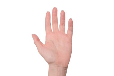 Beyaz arka planda izole edilmiş Fransız manikürlü kadın elleri..
