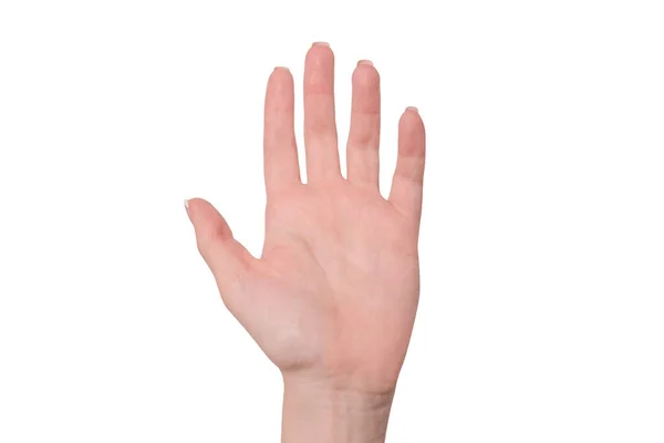 Γυναικεία Χέρια Γαλλικό Μανικιούρ Που Απομονώνονται Ένα Λευκό Bacckground — Φωτογραφία Αρχείου