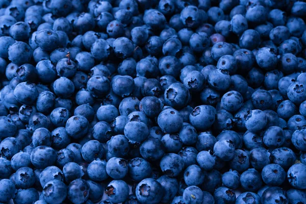 Fresh Blueberry Background Texture Blueberry Berries Close — Stock Photo, Image