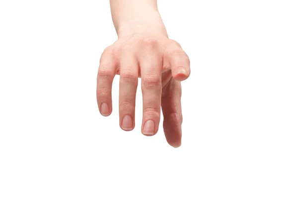 Γυναίκα Χέρι Απομονωθεί Λευκό Φόντο — Φωτογραφία Αρχείου