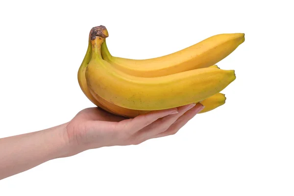 Monte Bananas Mão Mulher Isolado Fundo Branco — Fotografia de Stock