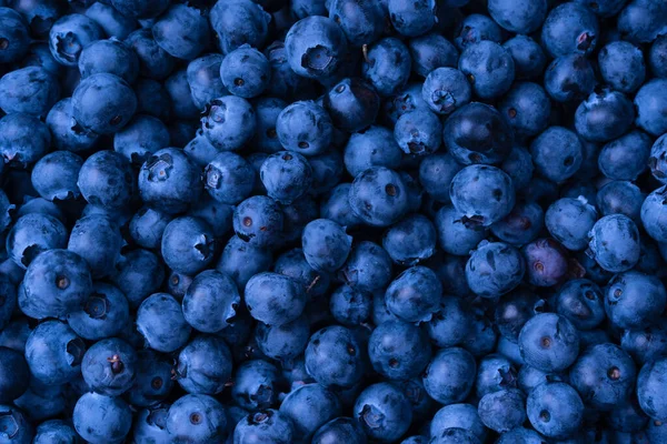 Fresh Blueberry Background Texture Blueberry Berries Close — Foto de Stock