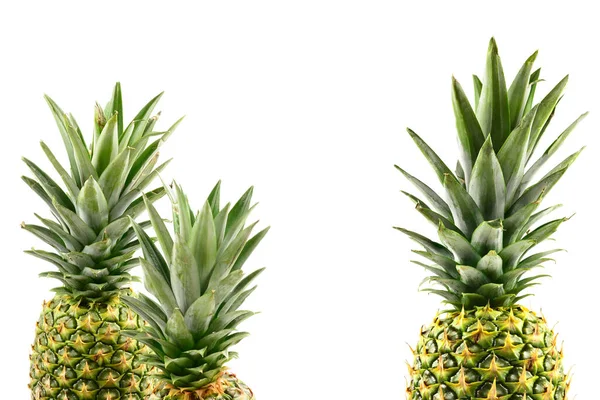 Ananas Geïsoleerd Wit — Stockfoto