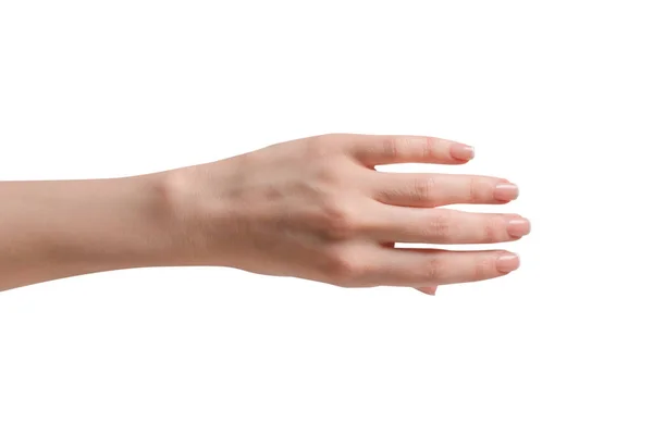 Mãos Mulher Com Manicure Francês Isolado Bacckground Branco — Fotografia de Stock