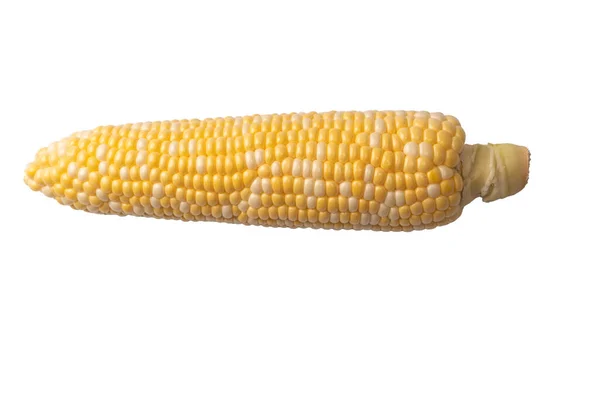 Yellow Sweet Corn Isolated White Background Copyspace — 스톡 사진