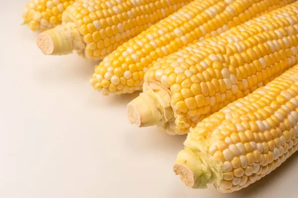 Yellow Sweet Corn Isolated White Background Copyspace — 스톡 사진