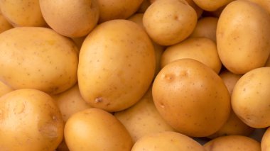 A group of fresh tasty potato as a background. 