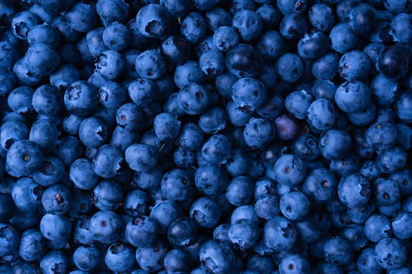 Fresh Blueberry Background Texture Blueberry Berries Close — Foto Stock