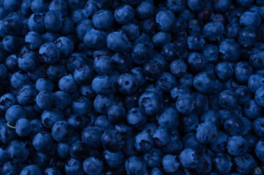 Fresh blueberry as a background. Texture blueberry berries close up.