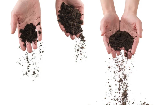 Solo Castanho Mãos Mulher Isolado Fundo Branco Solo Cai Fora — Fotografia de Stock